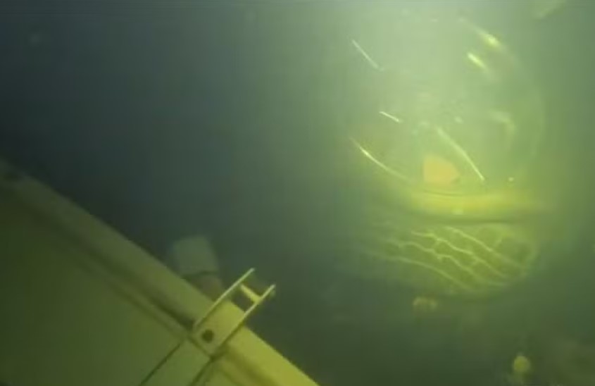 Foto: Divulga&ccedil;&atilde;o