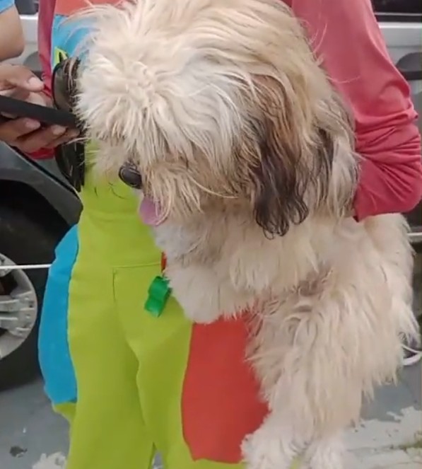 Foto: Divulga&ccedil;&atilde;o 