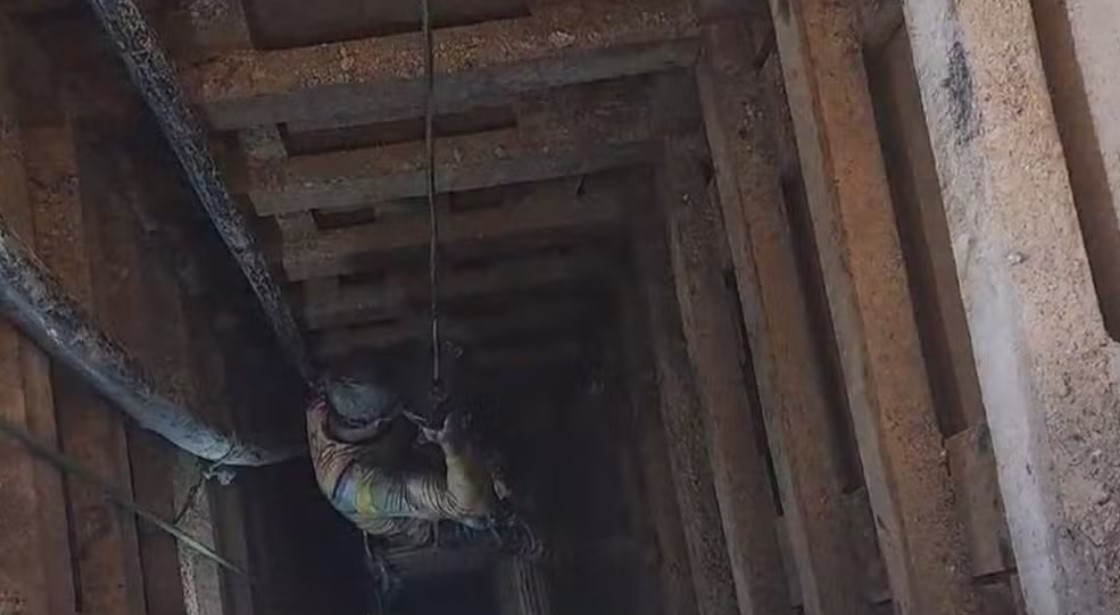  Foto: Divulga&ccedil;&atilde;o