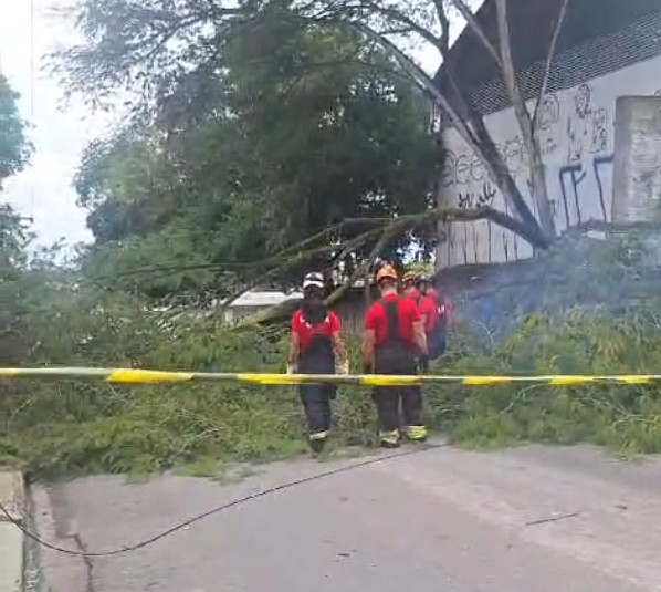 Foto: Divulga&ccedil;&atilde;o