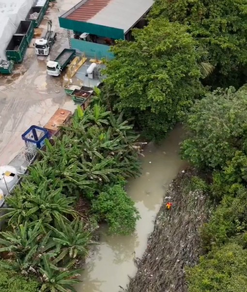 Foto: Neto Silva/Portal do Holanda