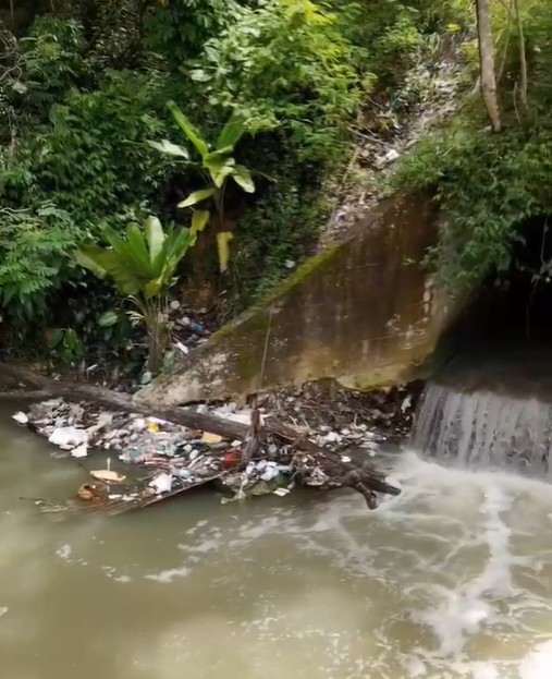 Foto: Neto Silva/Portal do Holanda