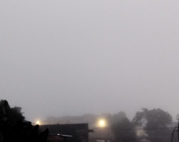 Foto: Tha&iacute;s Menezes/Portal do Holanda