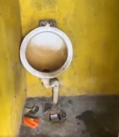 Foto: Divulga&ccedil;&atilde;o