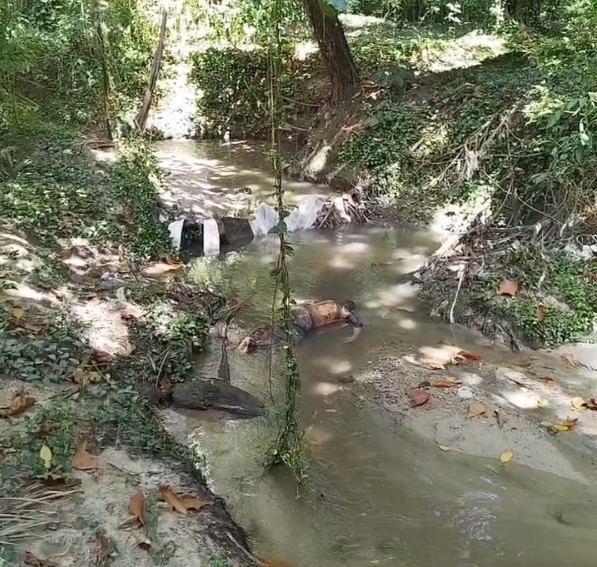 Foto: Divulga&ccedil;&atilde;o