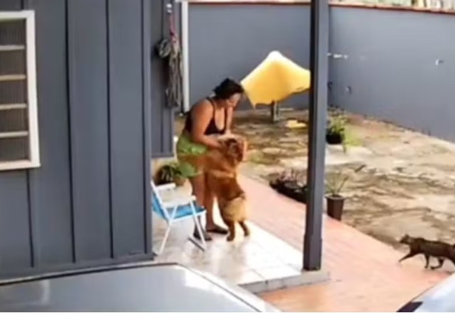 Imagem feita no dia do ataque - Foto: Divulga&ccedil;&atilde;o