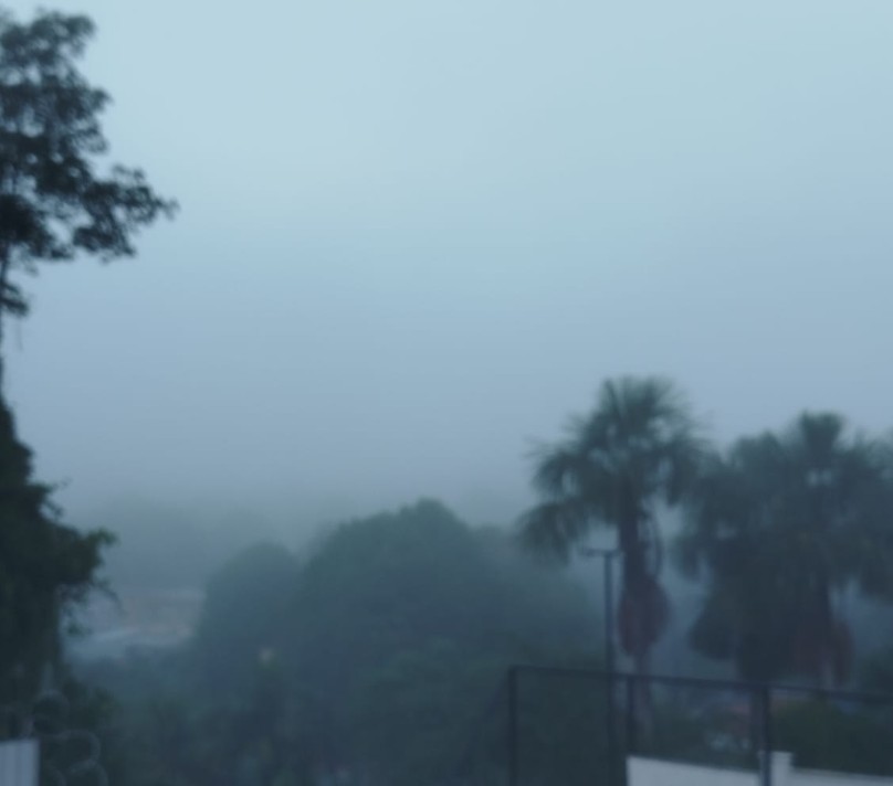 Foto: Tha&iacute;s Menezes/Portal do Holanda