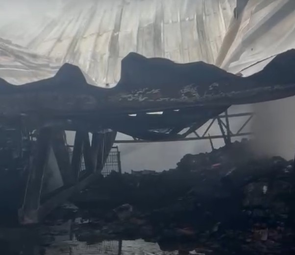 Foto: Divulga&ccedil;&atilde;o