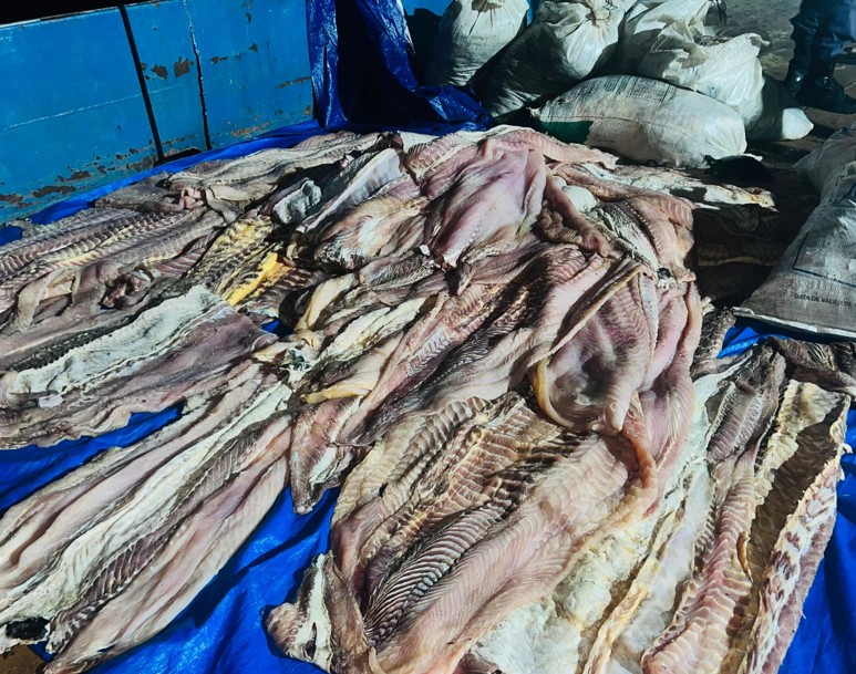 Foto: Divulga&ccedil;&atilde;o/SSP-AM