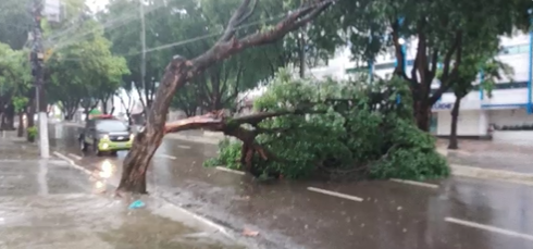 Foto Reprodu&ccedil;&atilde;o / Twitter / IMMU