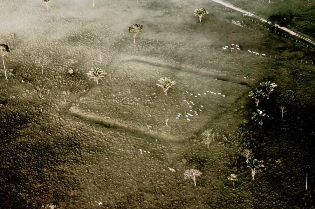 Foto: Diego Gurgel/Secom