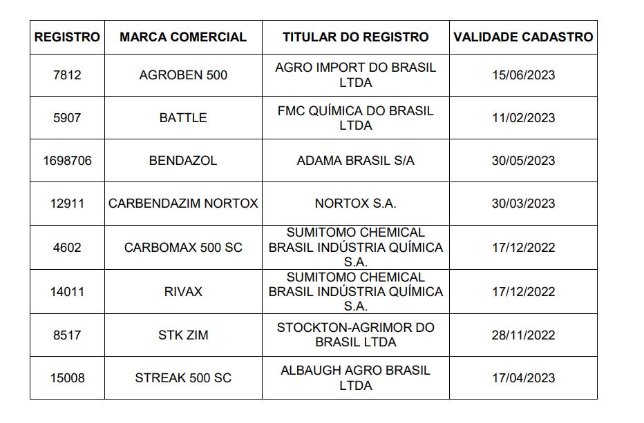 Foto: Divulga&ccedil;&atilde;o