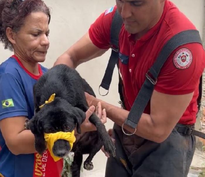 Foto: Divulga&ccedil;&atilde;o