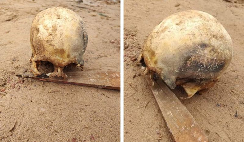 Divulga&ccedil;&atilde;o