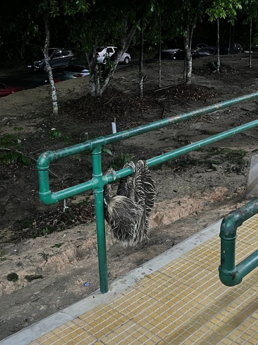 Foto: Reprodu&ccedil;&atilde;o Twitter