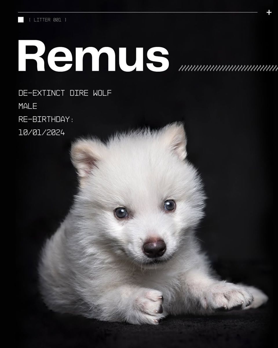 Colossal Biosciences