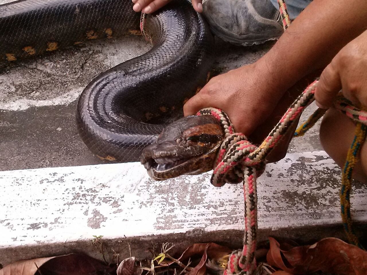 IMG-20141015-WA0071.jpg
