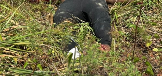 Foto: Neto SIlva / Portal do Holanda