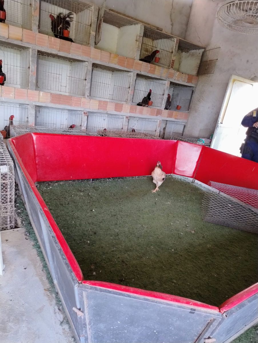 Foto: Erlon Rodrigues e Divulga&ccedil;&atilde;o/PC-AM