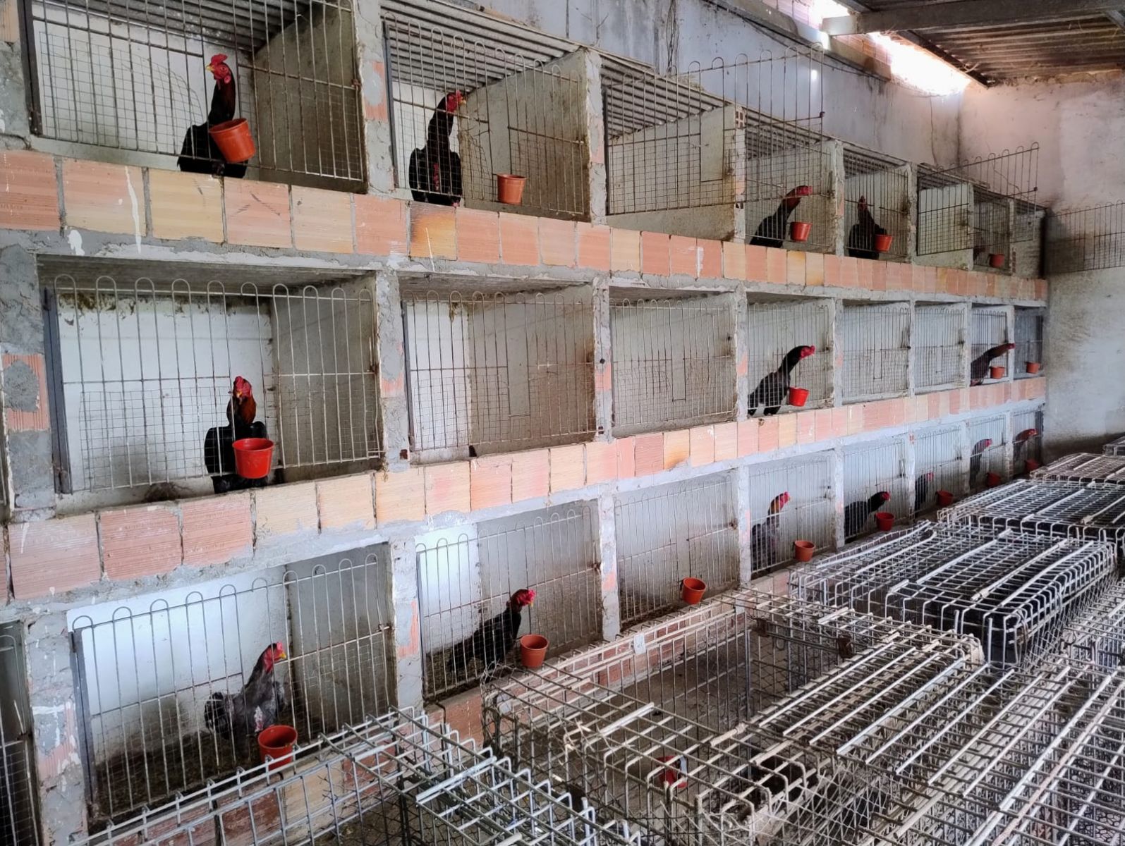 Foto: Erlon Rodrigues e Divulga&ccedil;&atilde;o/PC-AM