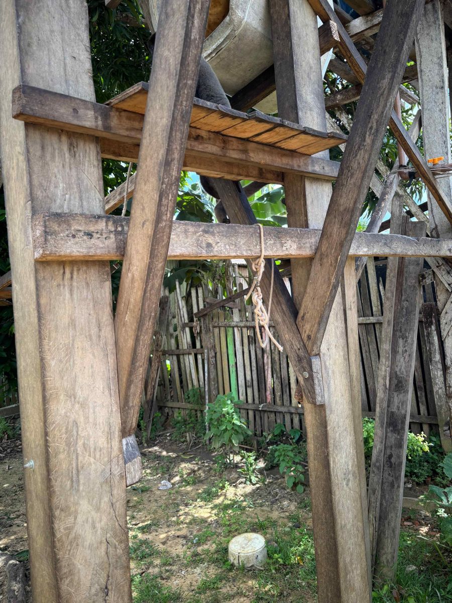 Foto: Divulga&ccedil;&atilde;o/PC-AM