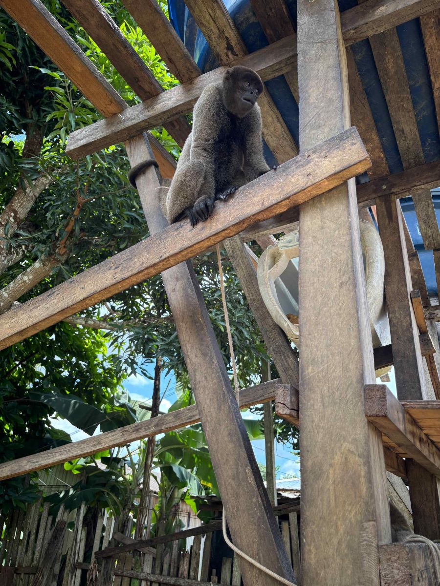 Foto: Divulga&ccedil;&atilde;o/PC-AM