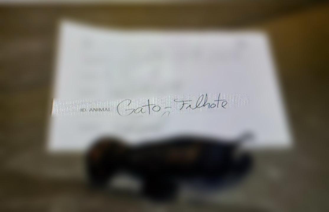 Foto: Divulga&ccedil;&atilde;o/PC-AM