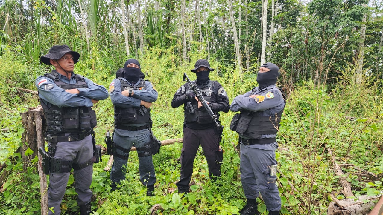 Foto: Divulga&ccedil;&atilde;o
