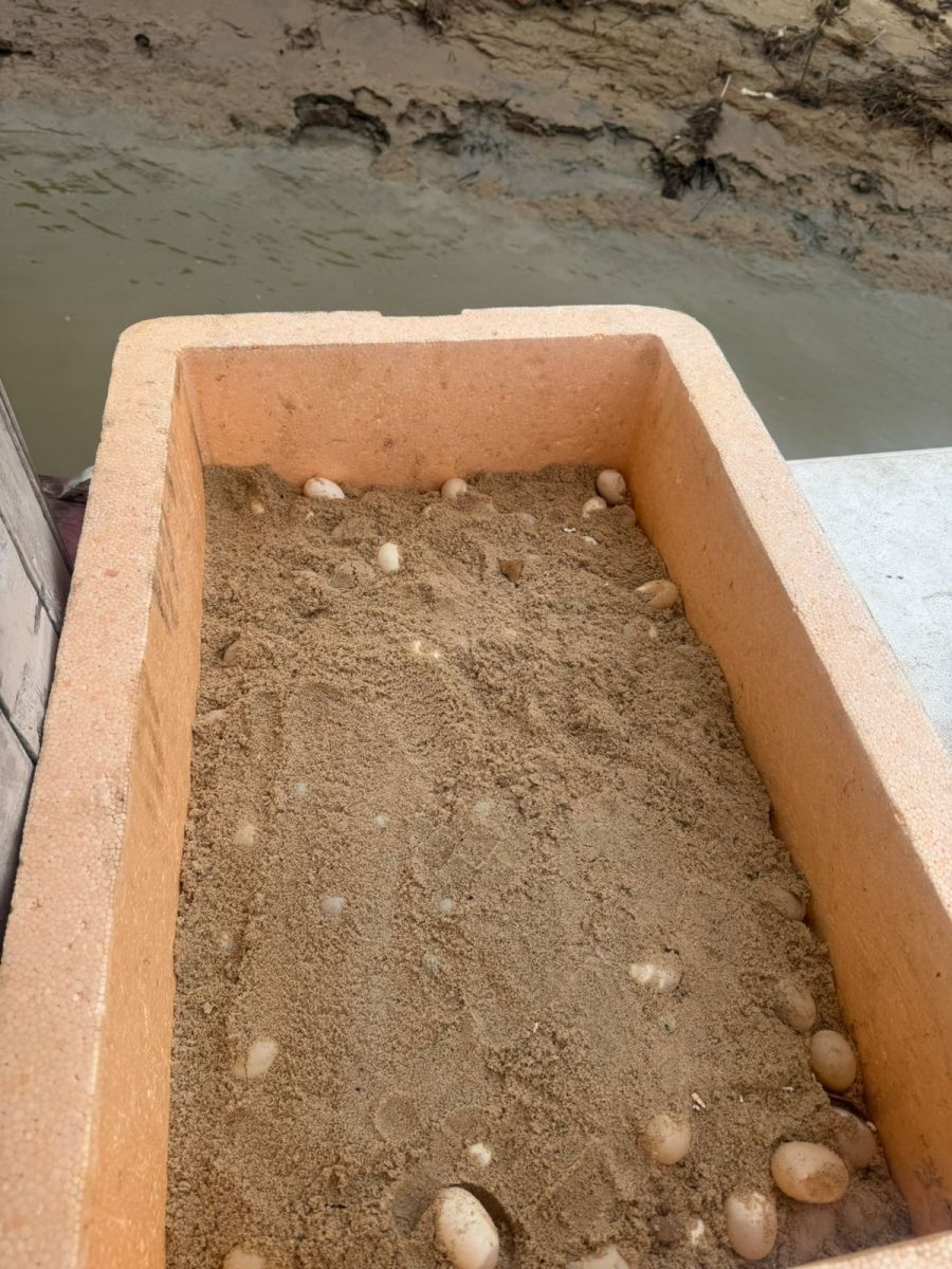 Foto: Divulga&ccedil;&atilde;o/PC-AM