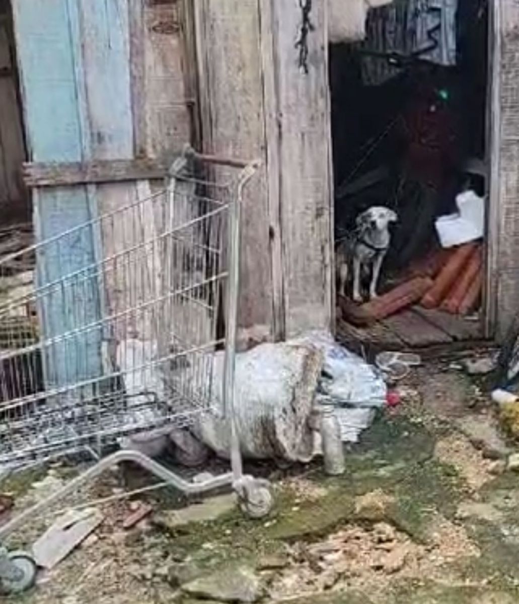 Foto: Divulga&ccedil;&atilde;o/PC-AM