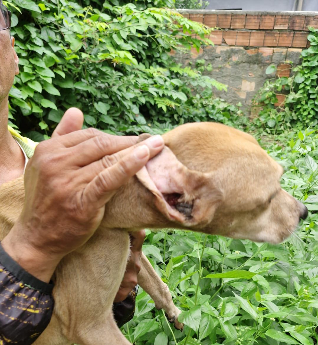 Foto: Divulga&ccedil;&atilde;o/PC-AM