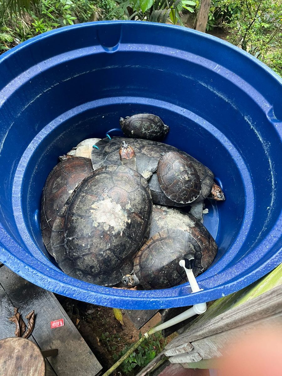 Foto: Divulga&ccedil;&atilde;o/PC-AM