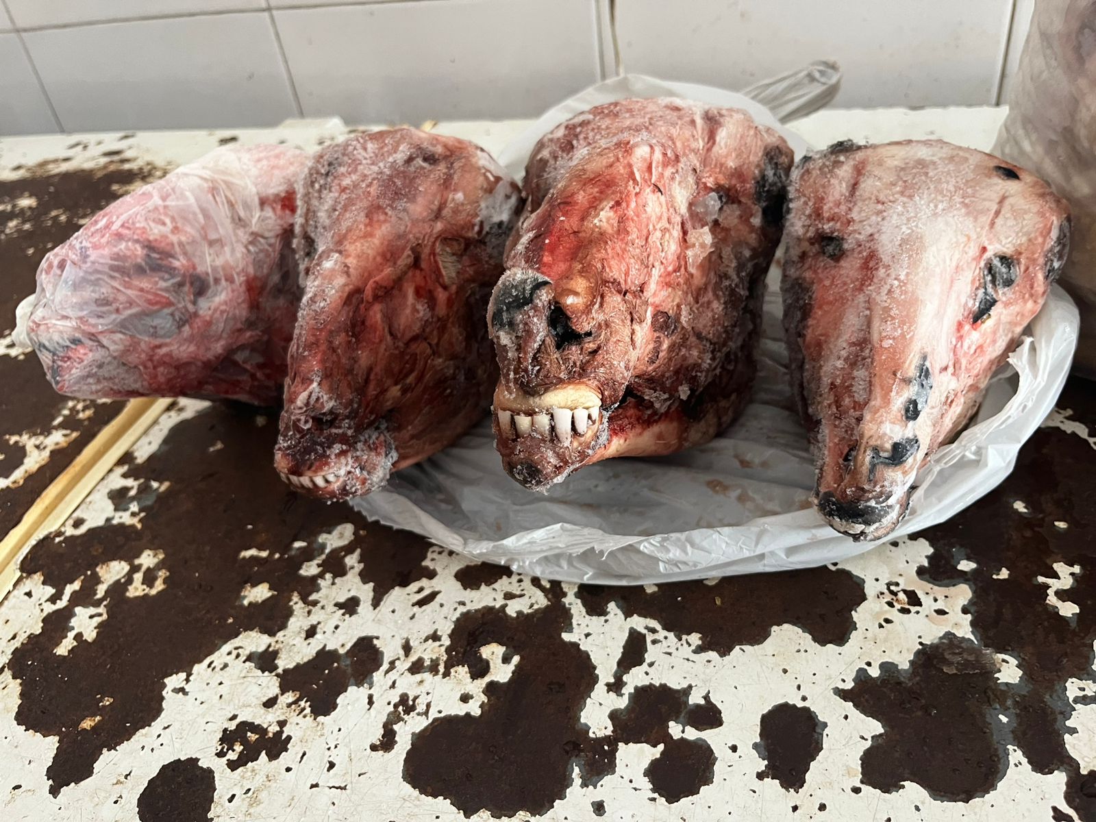 Foto: Divulga&ccedil;&atilde;o/PC-AM