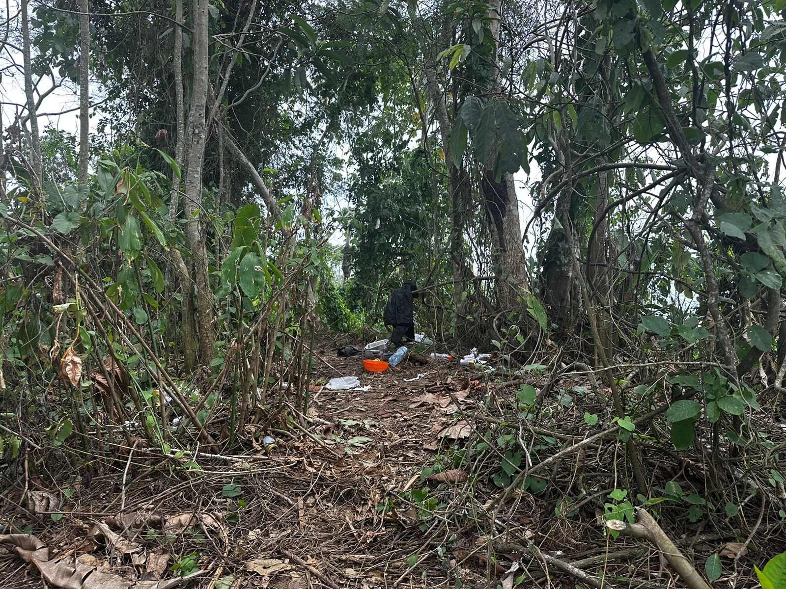 Foto: Divulga&ccedil;&atilde;o/PMAM