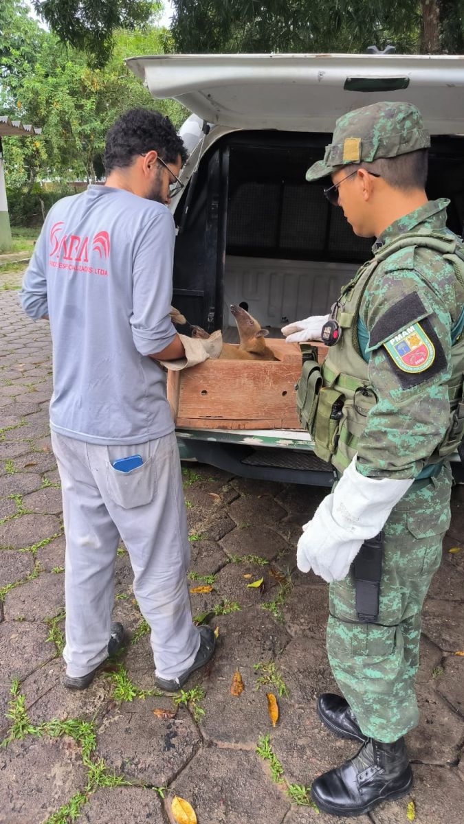 Foto: Divulga&ccedil;&atilde;o/PMAM