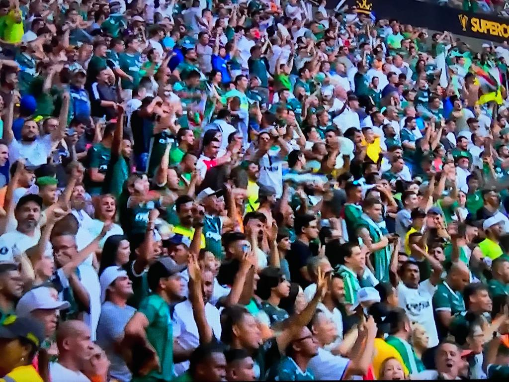 A festa &eacute; do Palmeiras com a derrota do Flamengo - Foto: Reprodu&ccedil;&atilde;o