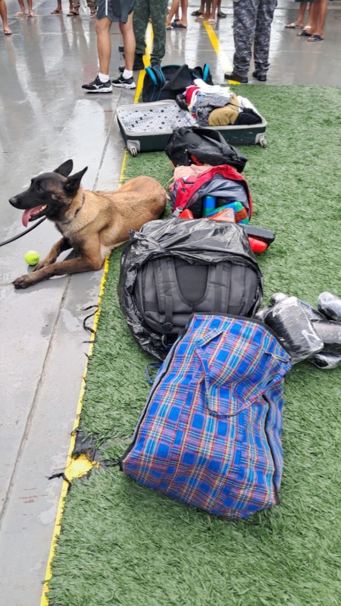 Foto: Divulga&ccedil;&atilde;o 