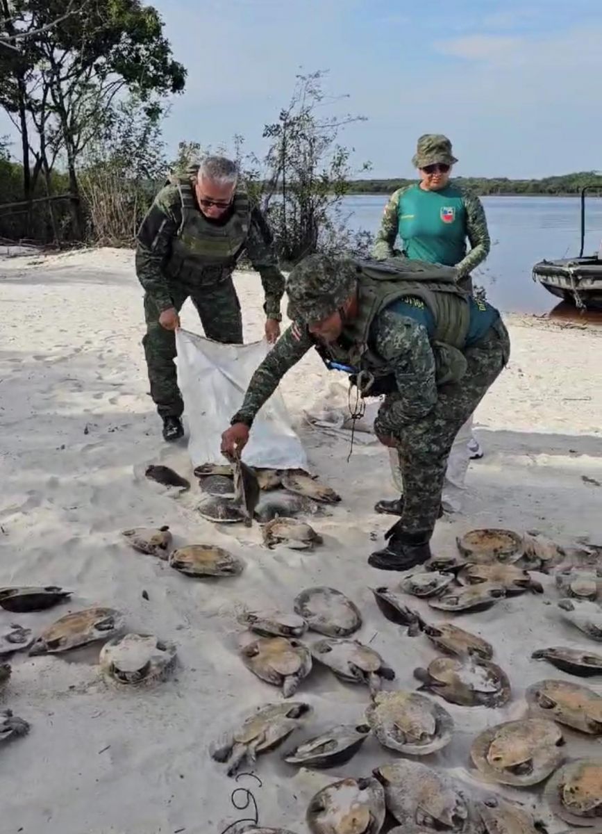 Foto: Divulga&ccedil;&atilde;o/SSP-AM 