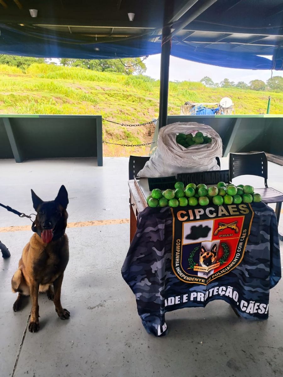 Foto: Divulga&ccedil;&atilde;o