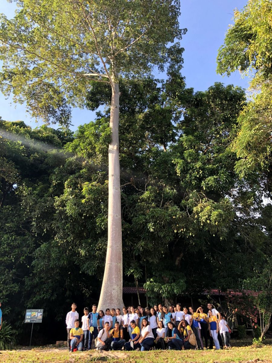 Suma&uacute;ma: A gigante da Amaz&ocirc;nia. Cr&eacute;ditos: Instituto Soka