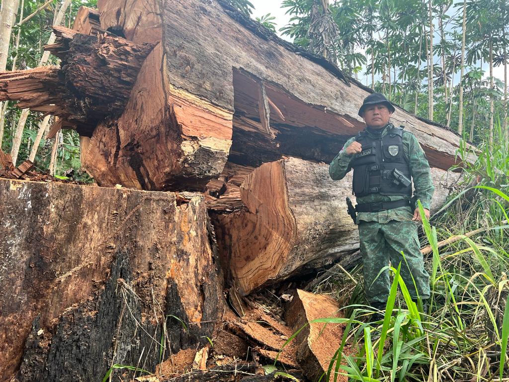 Foto: Divulga&ccedil;&atilde;o/SSP-AM