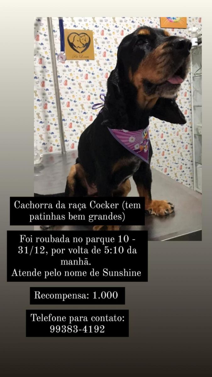 Foto: Arquivo Pessoal