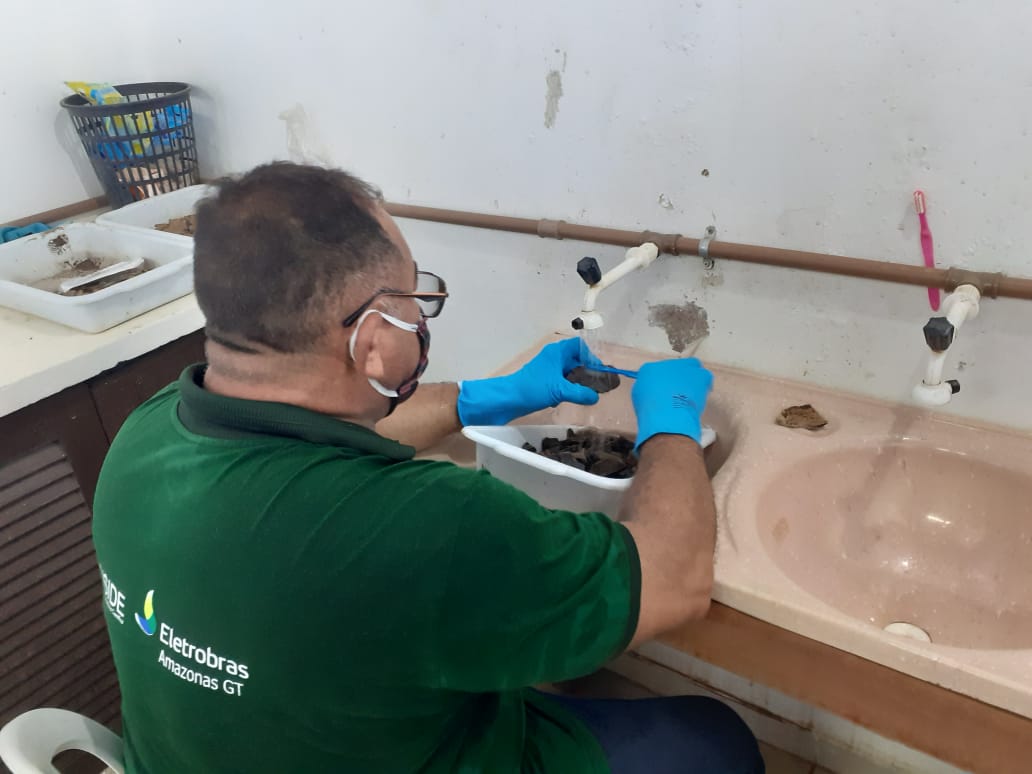 Foto: Divulga&ccedil;&atilde;o