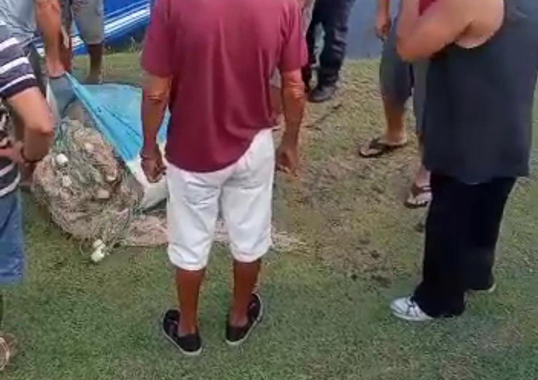 Foto: Divulga&ccedil;&atilde;o