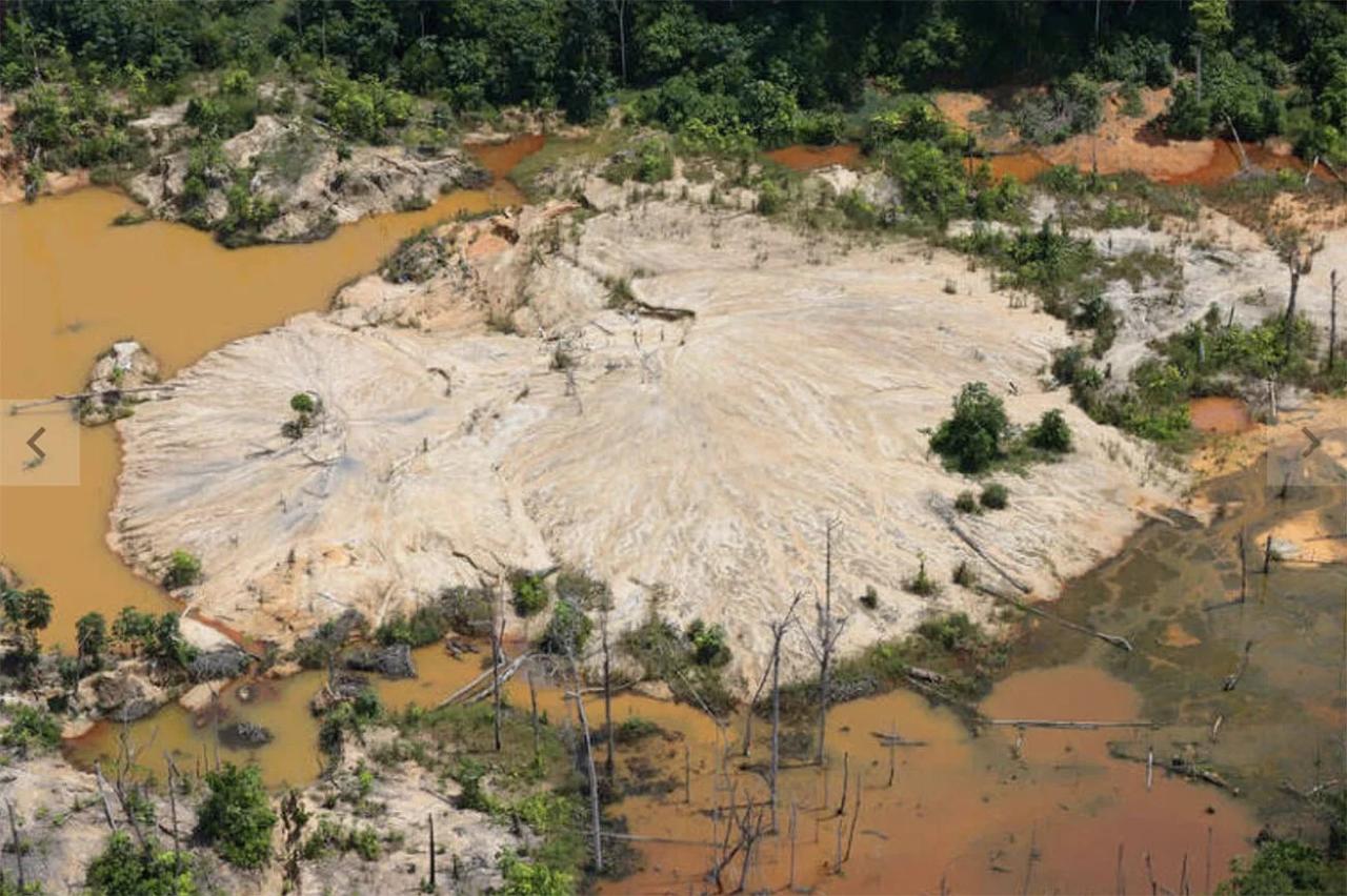 Foto: Chico Batata / Greenpeace