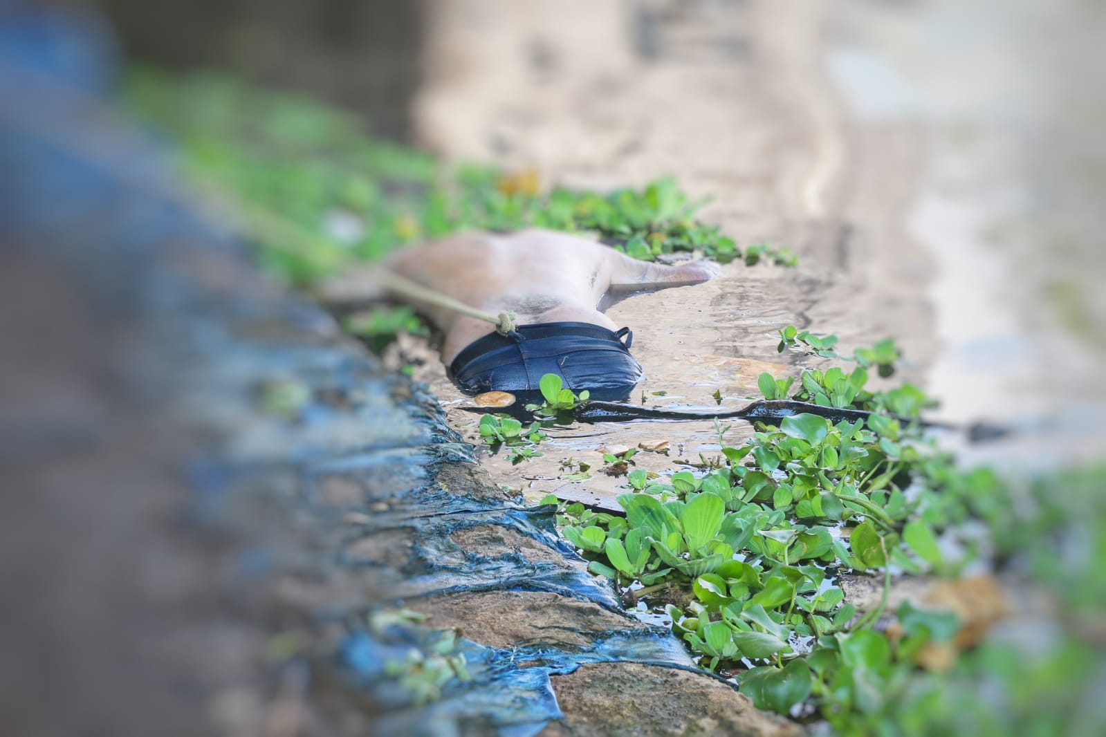 Corpo foi encontrado em rio no Educandos - Foto: Jander Robson/Portal do Holanda