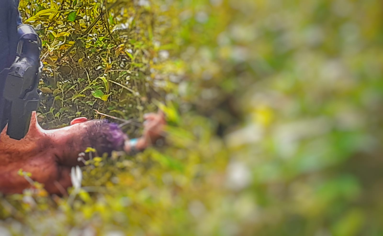 Foto: Jander Robson/Portal do Holanda