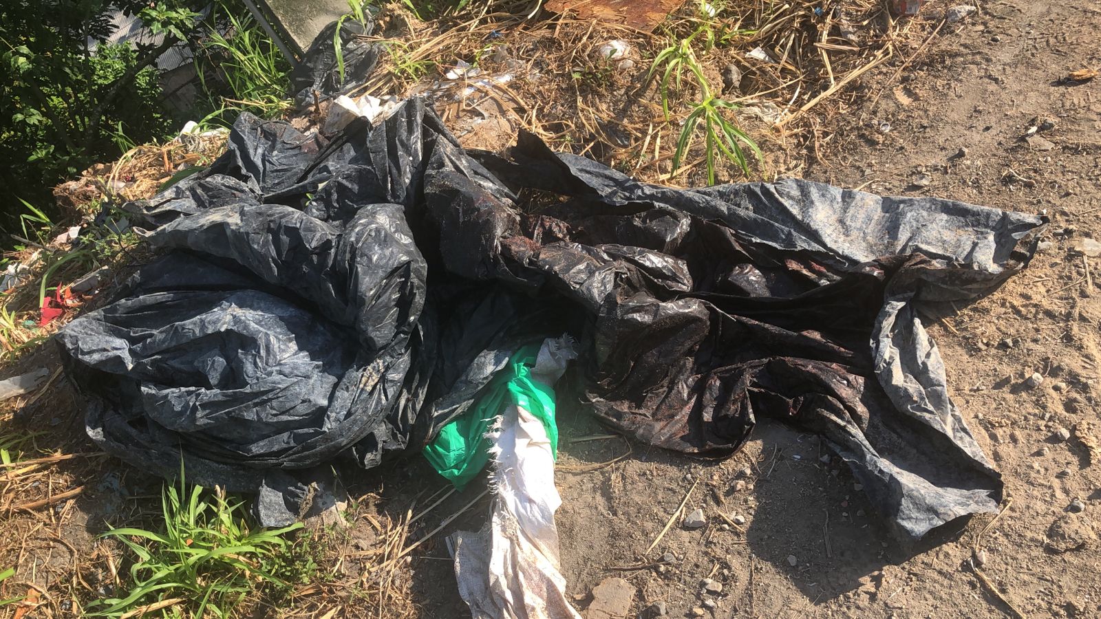 Foto: Divulga&ccedil;&atilde;o 