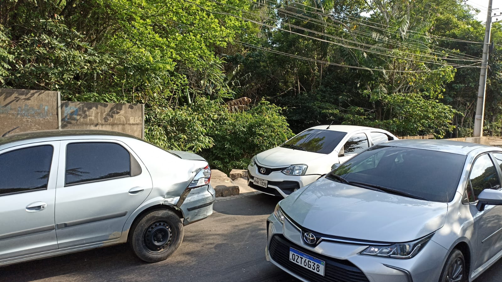 Foto: Jos&eacute; Luiz de Almeida/Arquivo pessoal