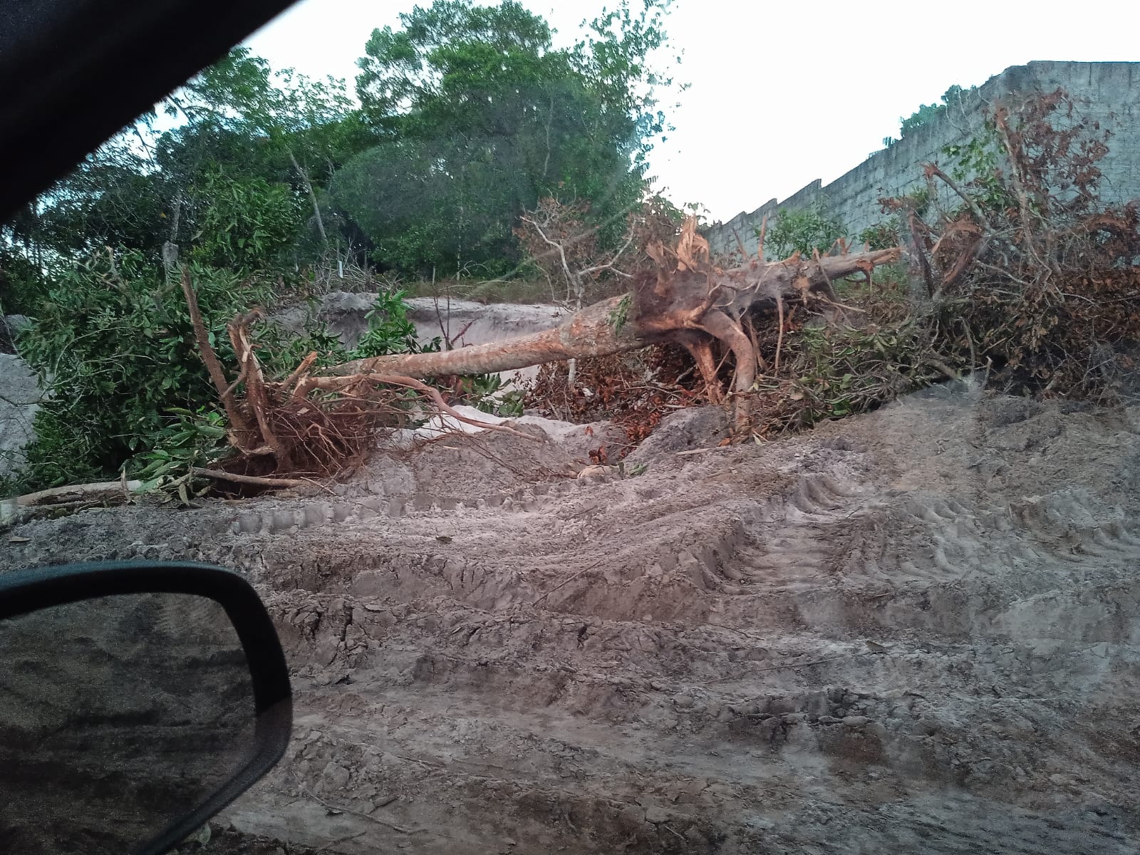 Foto: Divulga&ccedil;&atilde;o 